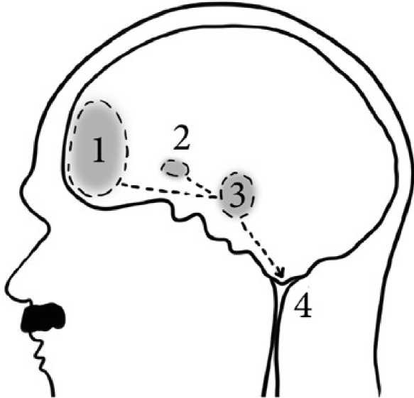 Иллюстрация к книге — Психология зла [i_001.jpg]