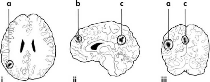 Иллюстрация к книге — Психология зла [i_005.jpg]