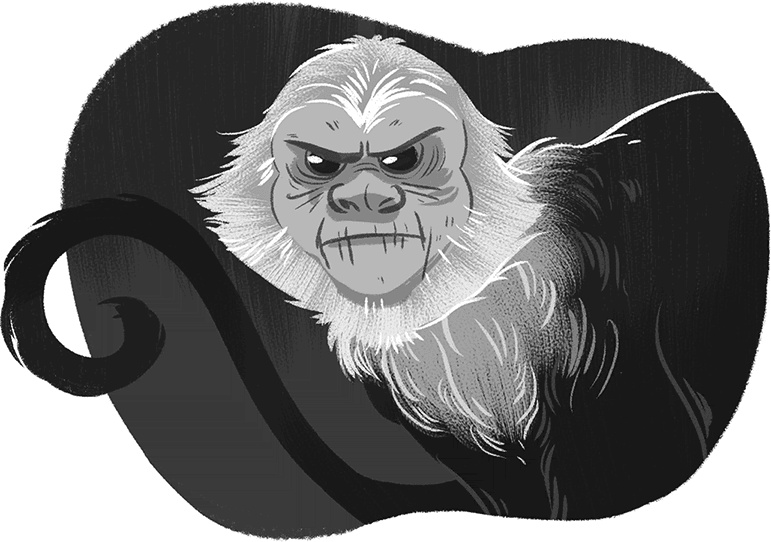 Иллюстрация к книге — Волшебные неудачники [i_018.jpg]