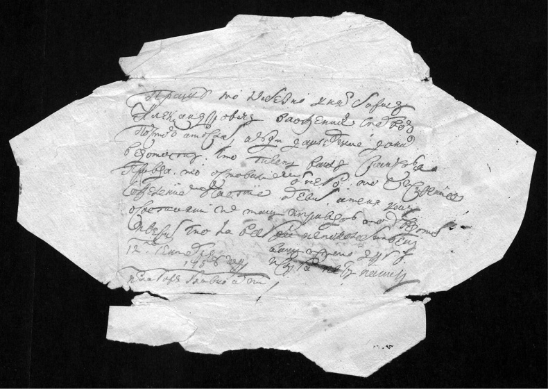 Иллюстрация к книге — Письма с Прусской войны [i_005.jpg]