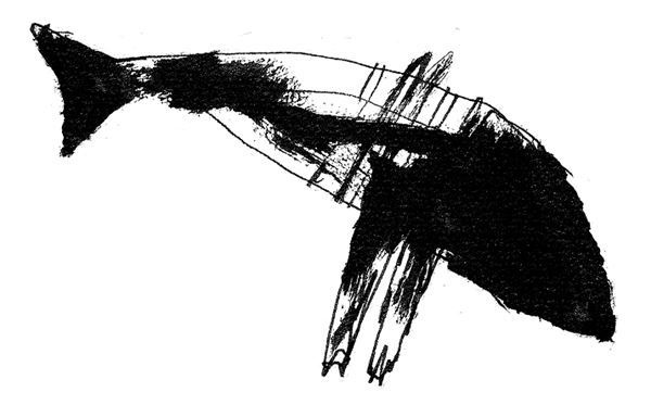 Иллюстрация к книге — Времена моря, или Как мы ловили вот такенную акулу с вот такусенькой надувной лодки [i_001.jpg]