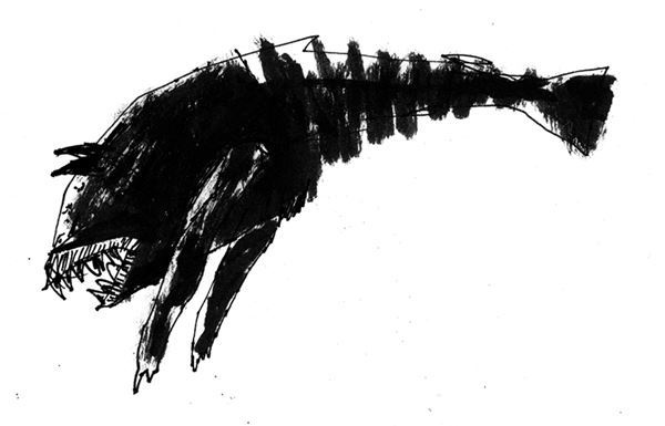 Иллюстрация к книге — Времена моря, или Как мы ловили вот такенную акулу с вот такусенькой надувной лодки [i_004.jpg]