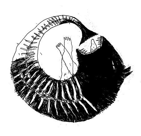 Иллюстрация к книге — Времена моря, или Как мы ловили вот такенную акулу с вот такусенькой надувной лодки [i_005.jpg]