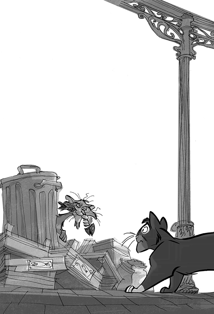 Иллюстрация к книге — Таинственное исчезновение золотого кота [i_015.jpg]