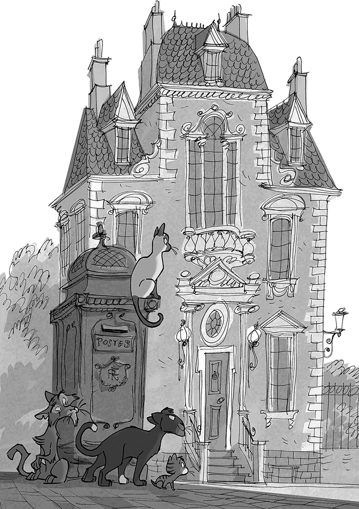 Иллюстрация к книге — Таинственное исчезновение золотого кота [i_017.jpg]