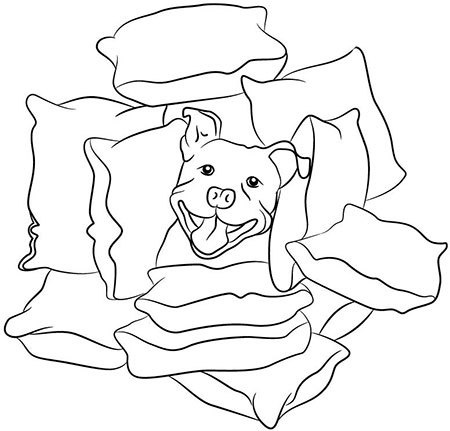 Иллюстрация к книге — Поп на мерсе. Забавные и поучительные истории священника-реаниматолога [img_22.jpg]