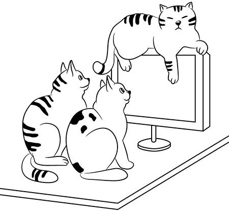 Иллюстрация к книге — Поп на мерсе. Забавные и поучительные истории священника-реаниматолога [img_24.jpg]