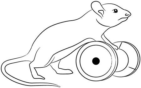 Иллюстрация к книге — Поп на мерсе. Забавные и поучительные истории священника-реаниматолога [img_28.jpg]