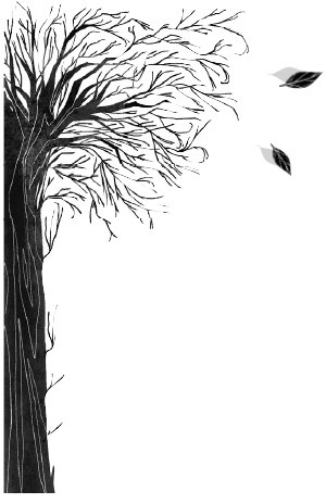 Иллюстрация к книге — Потерянные сказки [i_041.jpg]