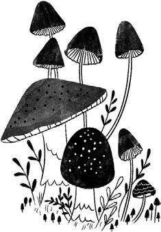 Иллюстрация к книге — Потерянные сказки [i_075.jpg]