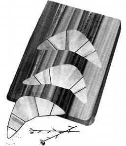 Иллюстрация к книге — Потерянные сказки [i_094.jpg]