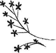 Иллюстрация к книге — Потерянные сказки [i_100.jpg]