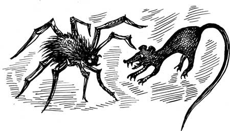 Иллюстрация к книге — Влада и тайный призрак [i_035.jpg]