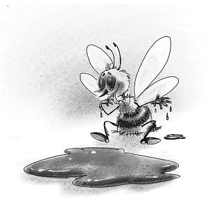 Иллюстрация к книге — Шоколадный дедушка. Тайна старого сундука [i_007.jpg]