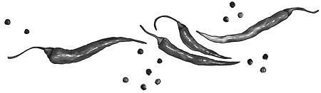 Иллюстрация к книге — Шоколадный дедушка. Тайна старого сундука [i_012.jpg]