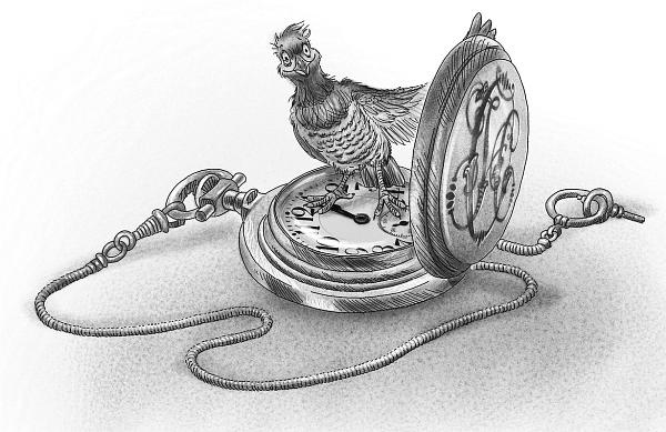 Иллюстрация к книге — Шоколадный дедушка. Тайна старого сундука [i_016.jpg]