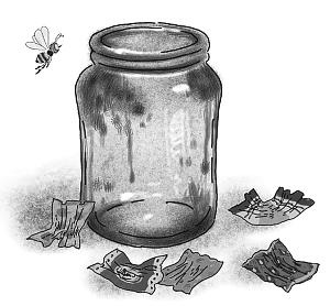 Иллюстрация к книге — Шоколадный дедушка. Тайна старого сундука [i_050.jpg]