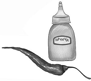 Иллюстрация к книге — Шоколадный дедушка. Тайна старого сундука [i_055.jpg]