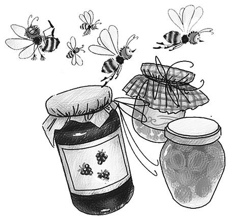 Иллюстрация к книге — Шоколадный дедушка. Тайна старого сундука [i_086.jpg]