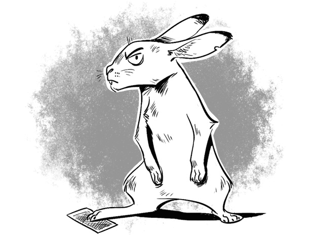 Иллюстрация к книге — Лис, два мира, полвампира [i_022.jpg]