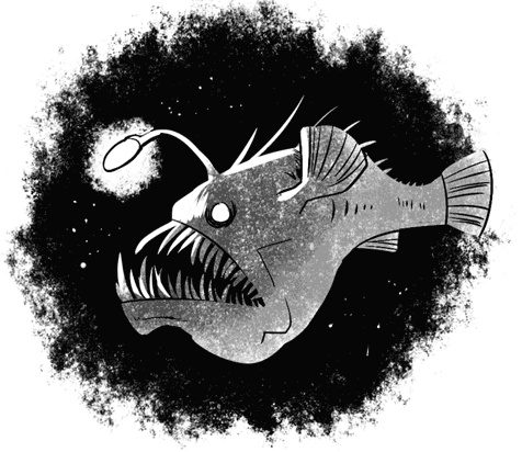 Иллюстрация к книге — Лис, два мира, полвампира [i_024.jpg]