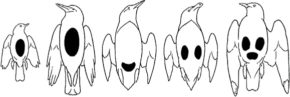 Иллюстрация к книге — Самая совершенная вещь на свете [i_008.jpg]