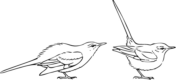 Иллюстрация к книге — Самая совершенная вещь на свете [i_013.jpg]