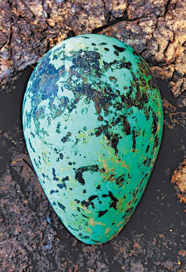 Иллюстрация к книге — Самая совершенная вещь на свете [i_018.jpg]