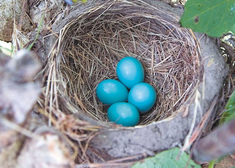 Иллюстрация к книге — Самая совершенная вещь на свете [i_022.jpg]