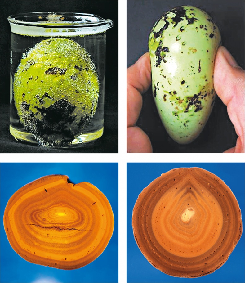 Иллюстрация к книге — Самая совершенная вещь на свете [i_027.jpg]