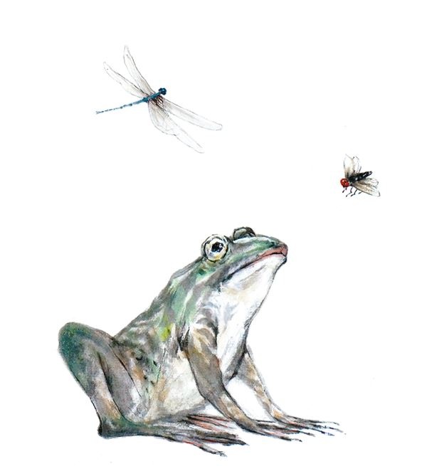 Иллюстрация к книге — Китайские мифы для детей [i_012.jpg]