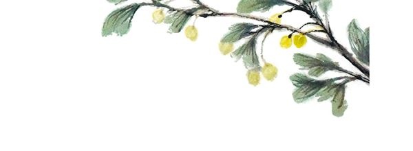 Иллюстрация к книге — Китайские мифы для детей [i_027.jpg]