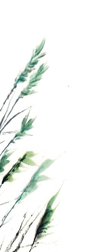 Иллюстрация к книге — Китайские мифы для детей [i_043.jpg]