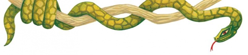 Иллюстрация к книге — Мифы со всего света для детей [i_028.jpg]