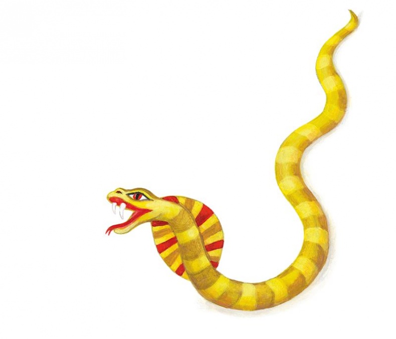 Иллюстрация к книге — Мифы со всего света для детей [i_052.jpg]