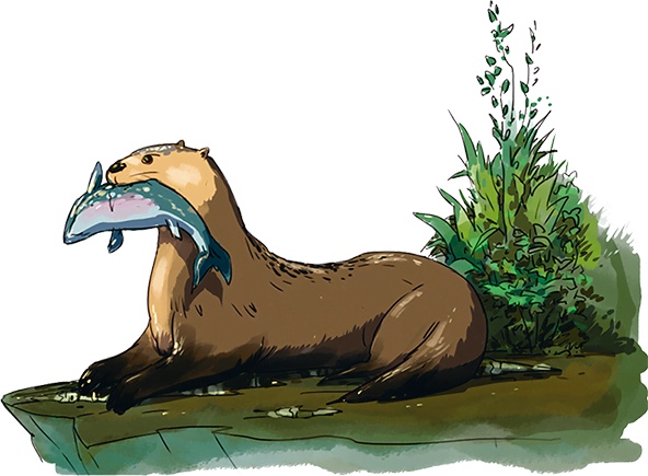 Иллюстрация к книге — Скандинавские мифы для детей [i_073.jpg]