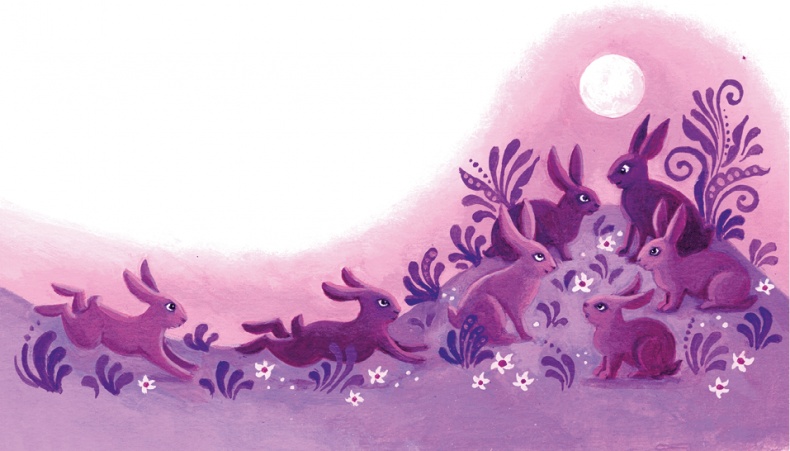 Иллюстрация к книге — Индийские мифы для детей [i_043.jpg]