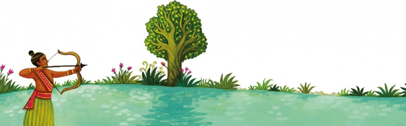 Иллюстрация к книге — Индийские мифы для детей [i_073.jpg]