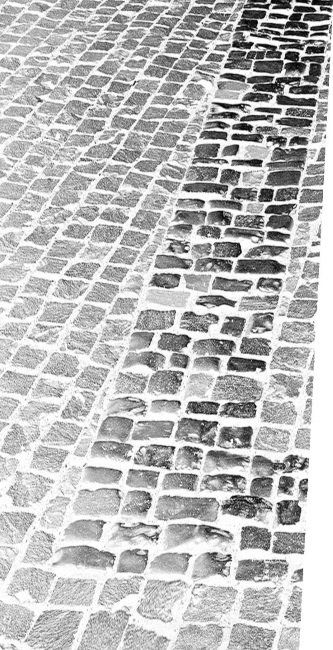 Иллюстрация к книге — Смерть Гитлера [i_006.jpg]