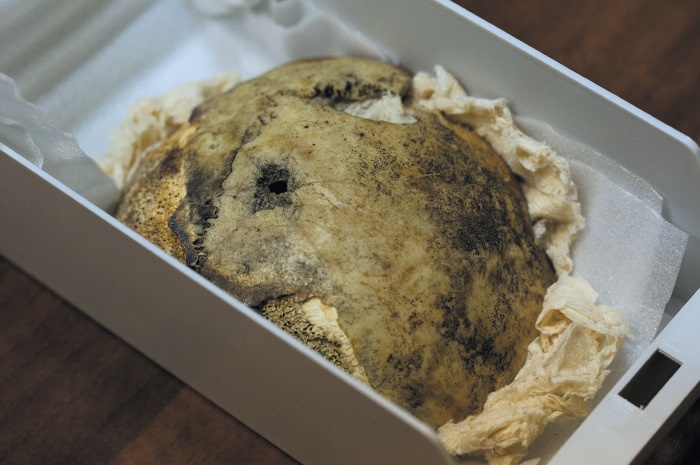 Иллюстрация к книге — Смерть Гитлера [i_007.jpg]