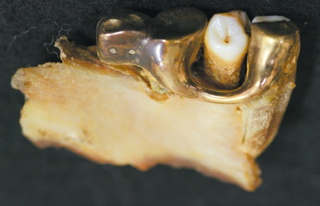 Иллюстрация к книге — Смерть Гитлера [i_051.jpg]