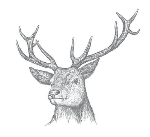 Иллюстрация к книге — Конечные и бесконечные игры [i_065.jpg]