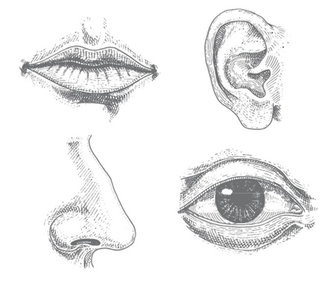 Иллюстрация к книге — Конечные и бесконечные игры [i_068.jpg]