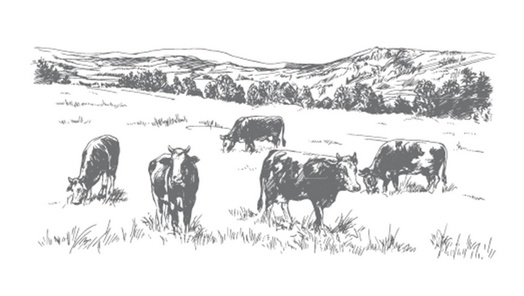 Иллюстрация к книге — Конечные и бесконечные игры [i_076.jpg]