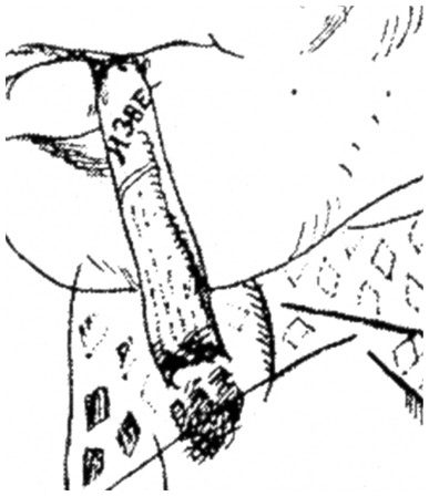 Иллюстрация к книге — Мода и гении [i_083.jpg]