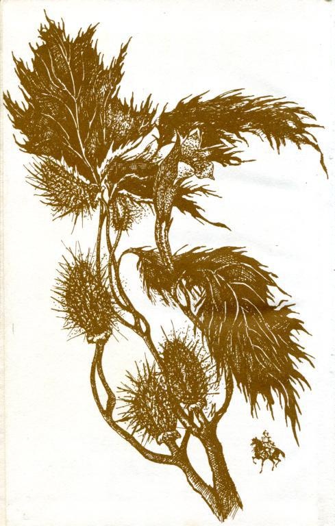 Иллюстрация к книге — Призраки замка Пендрагон. Ожерелье королевы [img_1.jpg]