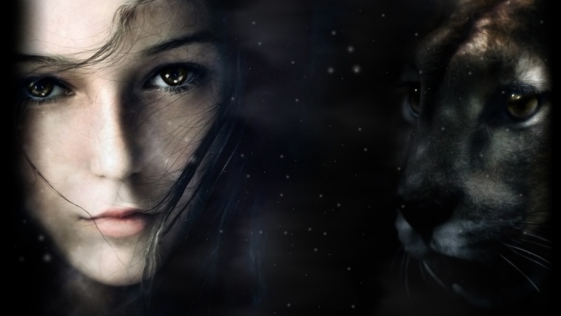 Иллюстрация к книге — Хищники [_1.jpg]