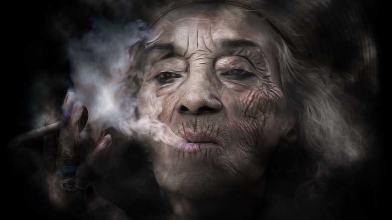 Иллюстрация к книге — Птицы [_8.jpg]