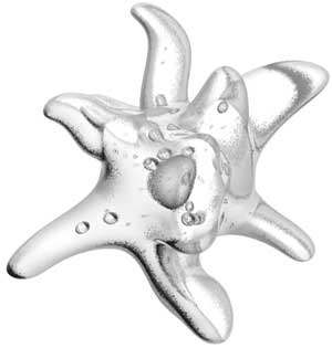 Иллюстрация к книге — Твоя жизнь до рождения: тайны эволюции человека [i_023.jpg]