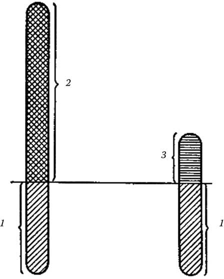 Иллюстрация к книге — Твоя жизнь до рождения: тайны эволюции человека [i_034.jpg]